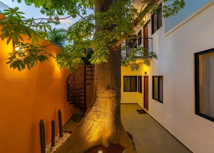 Casa Madero La Paz